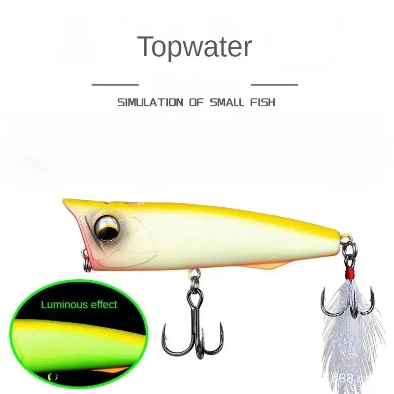 Fishing Lures Topwater Popper 11g 16.5g Floating Rock Pop Artificial Hard Baits for Bass Perch Pike Black Minnow Wobbler Pesca