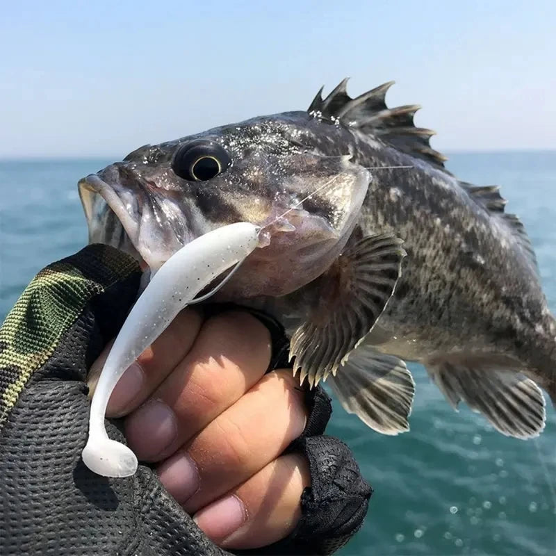 10pcs Soft Fishing Lures for Bass, Soft Paddle Tail Fishing Swimbaits Lures, Fishing Baits Kit for Fishing Trout Redfish